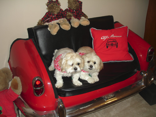 Pet Care Supplies