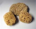 Natural Sea Wool Sponge