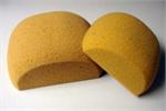 Small Turtleback Sponge